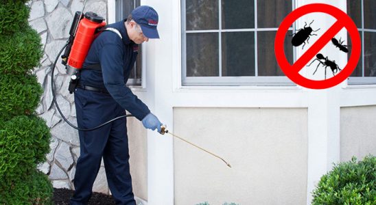 Çamdibi Kene İlaçlama böcek ilaçlama ve haşere kontrolü — ilaclama-tr.com